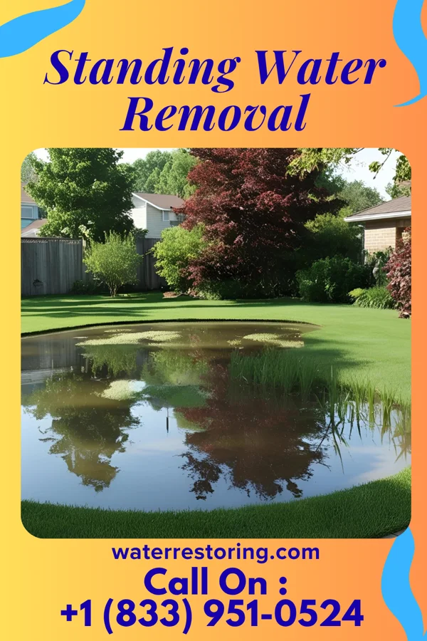 Standing Water Removal in Huber Heights, OH